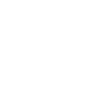 Brocleanx icon